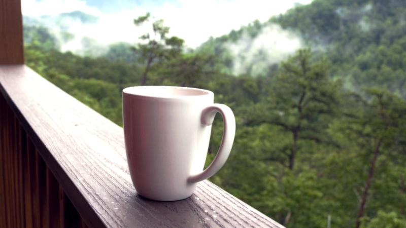 cup